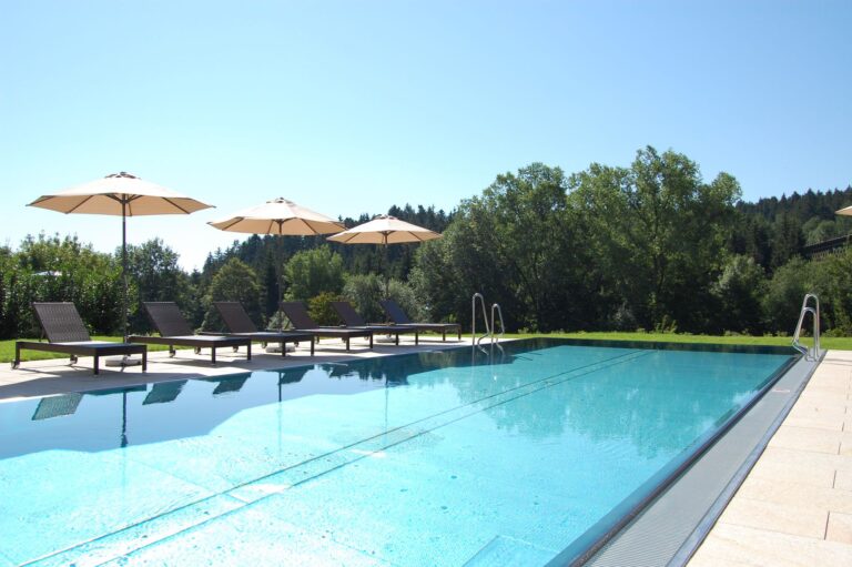 hotel lauterbad pool5 768x511
